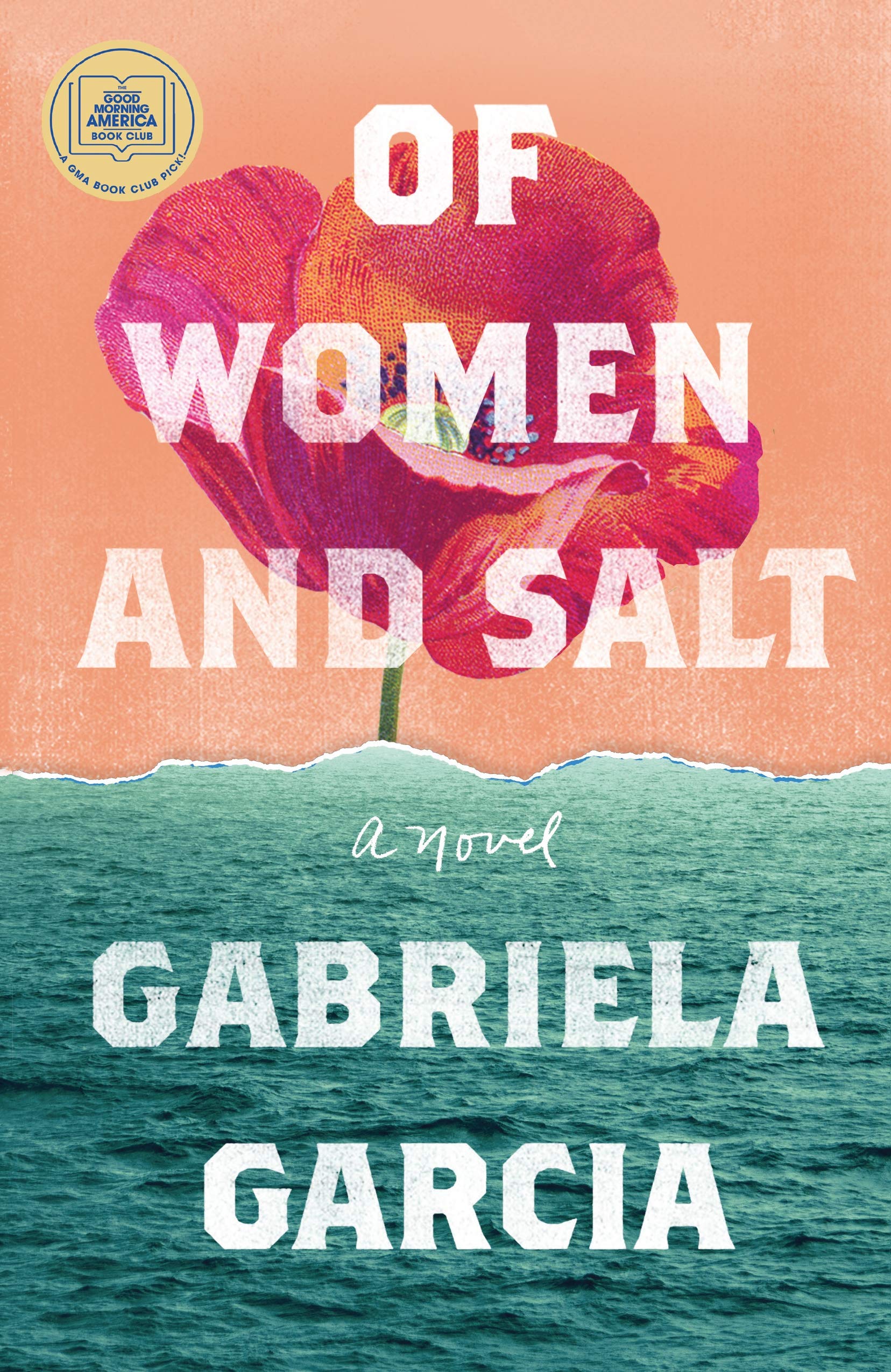 Book cover for Of Women and Salt by Gabriela Garcia