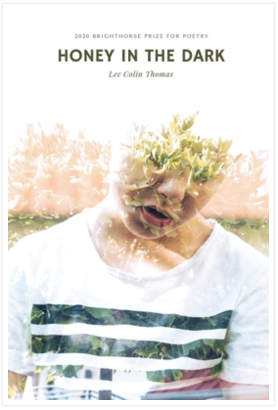 Book cover for Honey in the Dark by Lee Colin Thomas