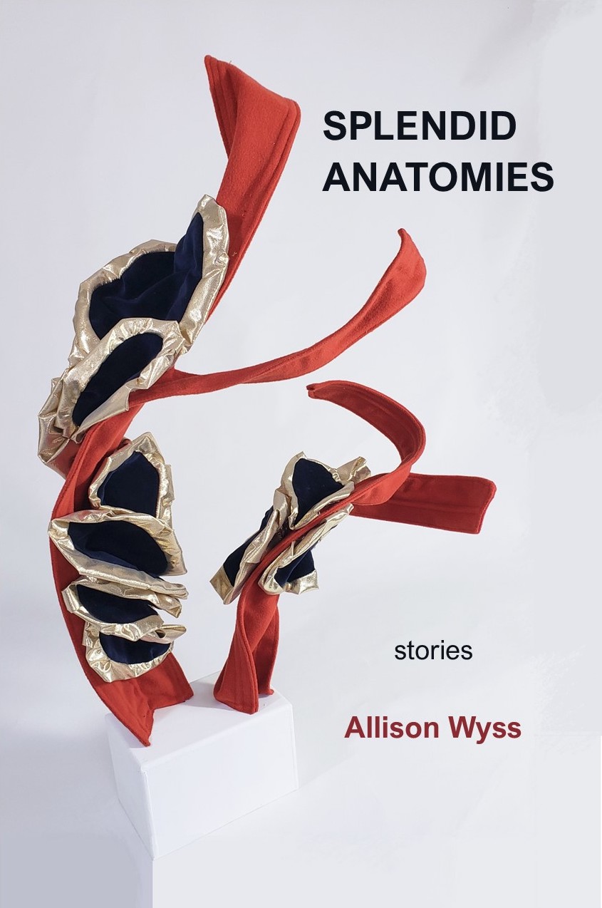 Book cover for Allison Wyss's short story collection, Splendid Anatomies